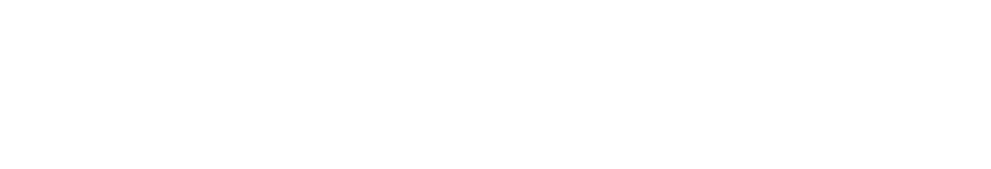 Nexelite Pavers